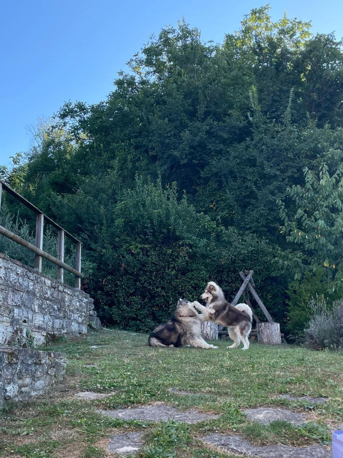 Maison En Pierre Fiastra Dış mekan fotoğraf