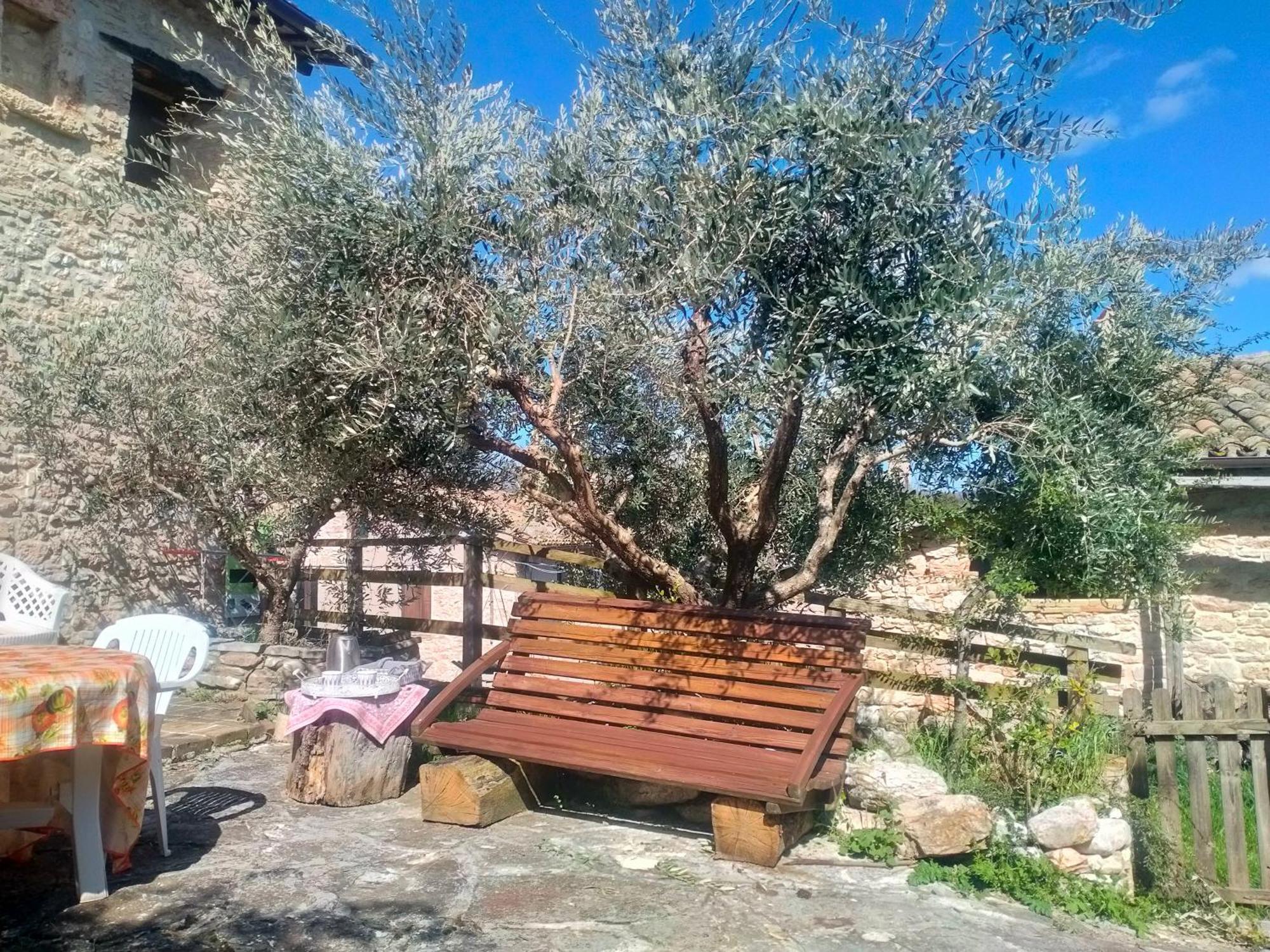 Maison En Pierre Fiastra Oda fotoğraf